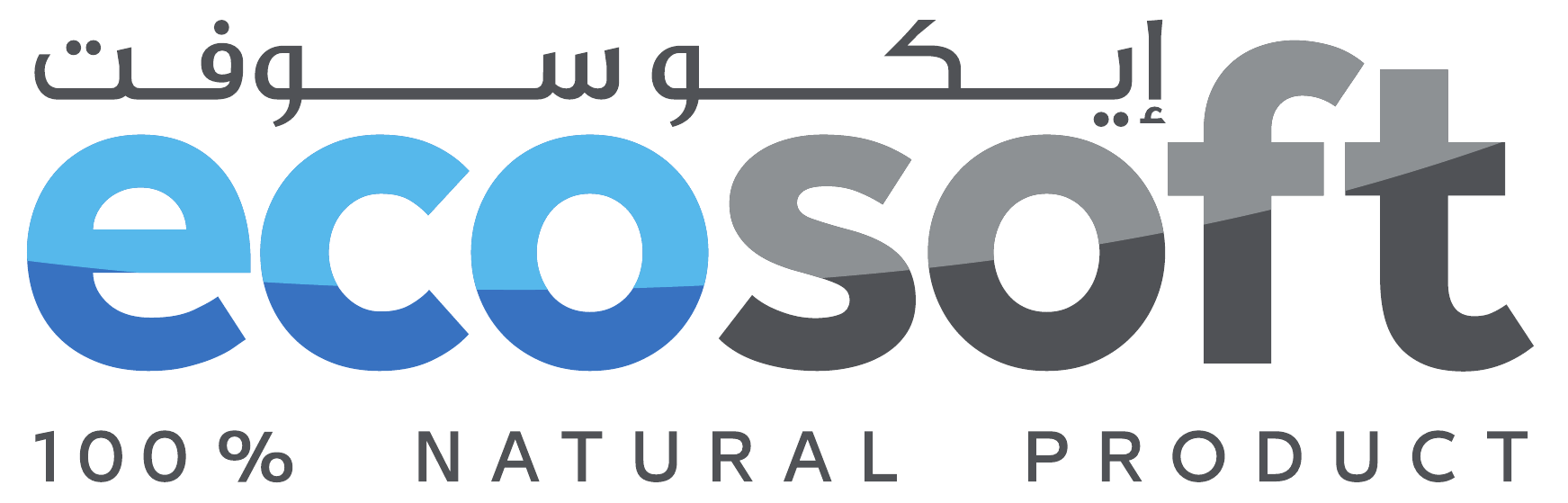 EcoSoft logo